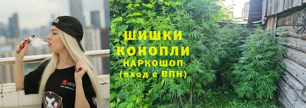 прущие грибы Богородск