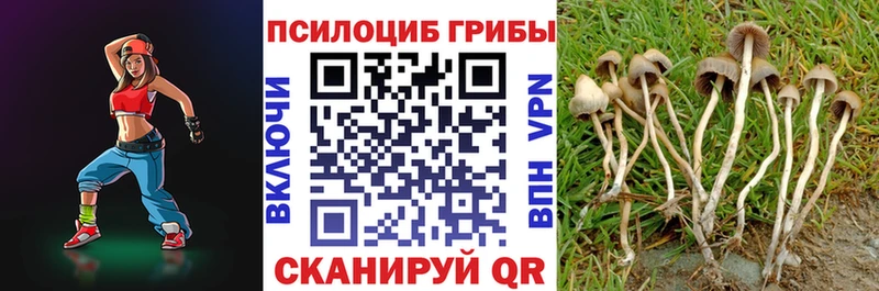 Галлюциногенные грибы прущие грибы  купить  цена  Первомайск 